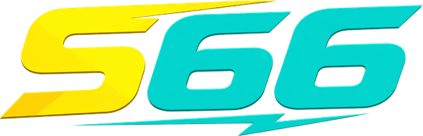 Logo S66